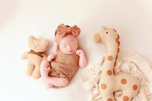 汉中宝宝虾的做法